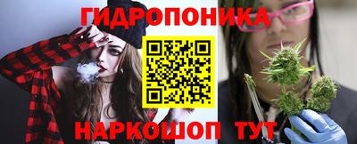 наркотики Кингисепп