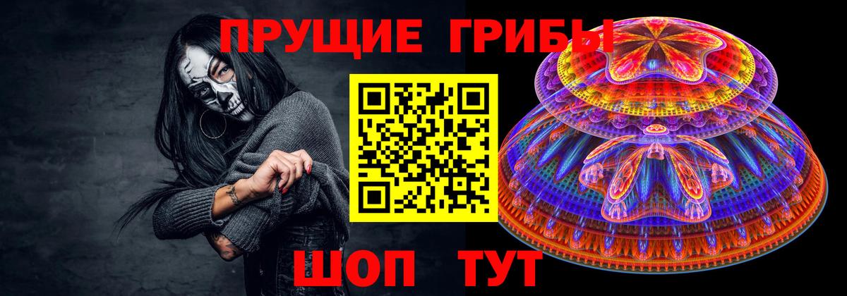 Киржач  Галлюциногенные грибы Psilocybine cubensis  Вход с VPN 